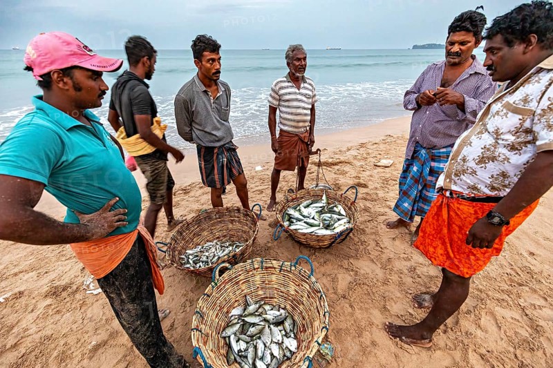 Men on the beach talking about caught fish in baskets, the sea in the background, Traditional fishermen on Trincomalee beach in Sri Lanka