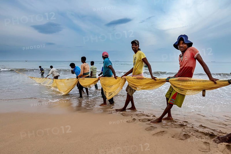 Group of people on the beach leading a fishing net into the water, collective action, traditional fishermen on Trincomalee beach in Sri Lanka