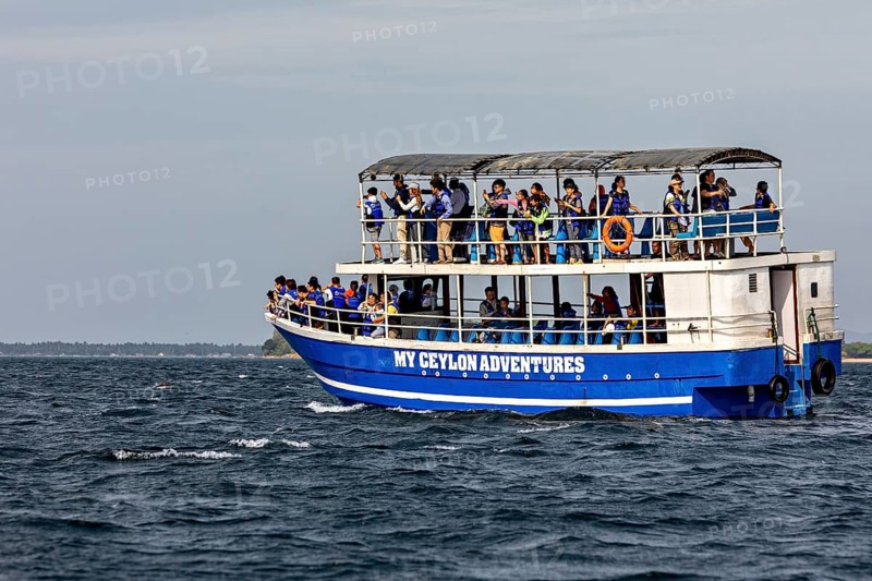 A tour boat full of people on a body of water under a clear sky, whale watching tour boat with tourists on the ocean near Trincomalee in Sri Lanka