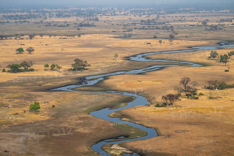 Wetland, landscape, aerial view of the Okavango Delta, near Maun, Okavango Delta, Botswana