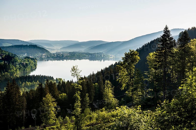 Titisee, Black Forest, Southern Black Forest, Baden-Württemberg, Germany