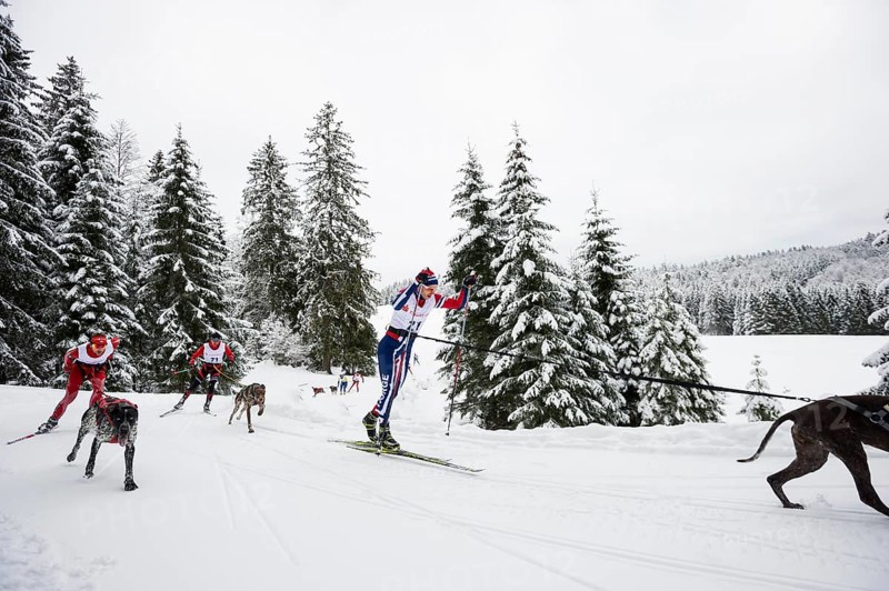 Sled dog racing, Todtmoos, Black Forest, Baden-Württemberg, Germany