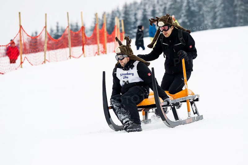 Horn sled racing, Waldau, Black Forest, Baden-Württemberg, Germany