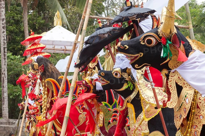 Preparing for a corpse cremation, (Ngaben), Ubud, Bali, Indonesia