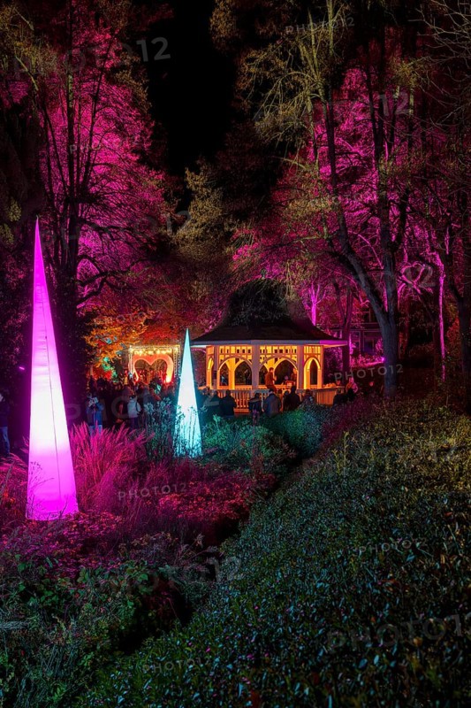 Light art, light installation, illuminated sculptures in the city garden of the city of Radolfzell am Lake Constance, as part of the Radolfzell Lichtblicke event and art campaign, supported by the Ministry of Labour, Economy and Tourism Baden-Württemberg, Konstanz district, Baden-Württemberg, Germany