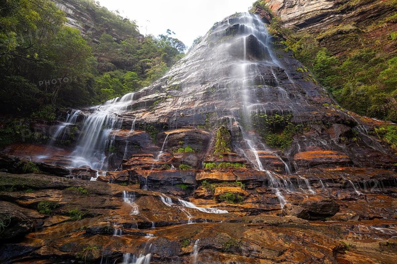 Leura Falls in a lush valley full of ferns and vegetation, Blue Mountains, New South Wales, Australia