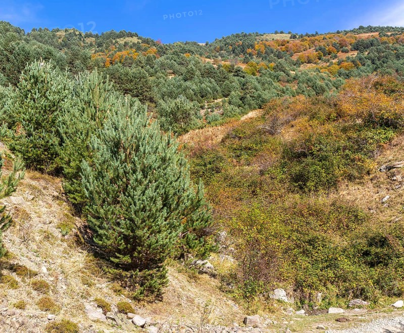 Mountain landscape Guarrinza - La Mina, Aragon Subordan river valley, Parque Natural Valles Occidentales, Hecho, Pyrenees Mountains, Aragon, Spain