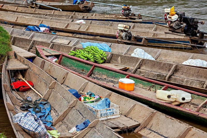 Wooden boats with bananas and motors on the banks of a river, longboat on a river near Rurrenabaque in the Amazon jungle in Bolivia