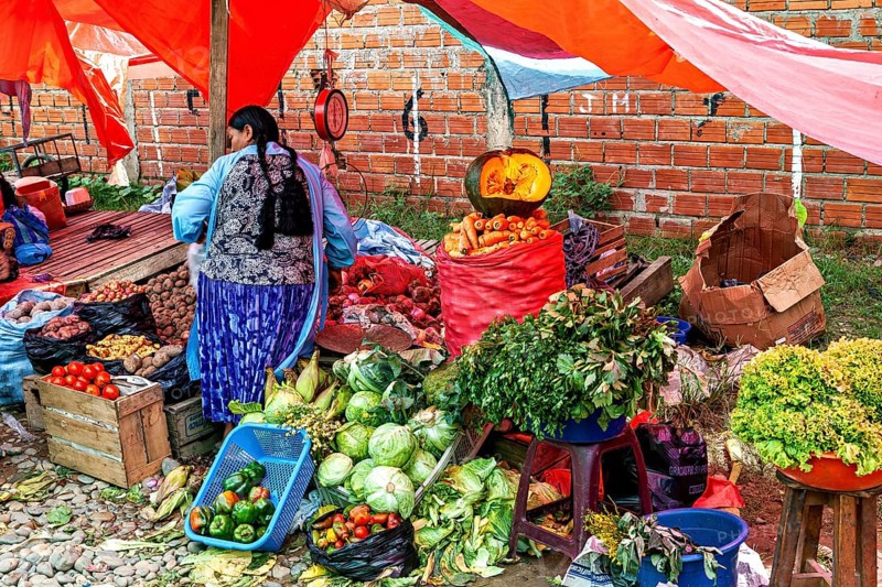 A stand full of vegetables under red tarpaulins at a market, with a brick wall in the background, The Rurrenabaque market in the Amazon jungle rainforest in Bolivia