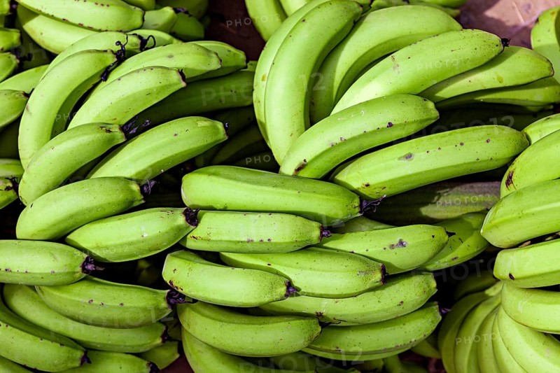 Close-up of green, fresh bananas in natural texture, green bananas at the Rurrenabaque market in the Amazon jungle in Bolivia