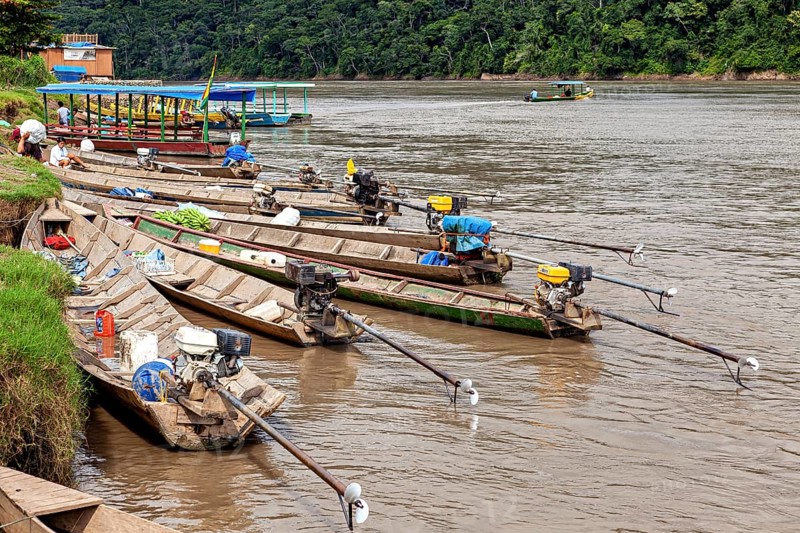 Wooden boats with motors along an overgrown riverbank, longboat on a river near Rurrenabaque in the Amazon jungle in Bolivia
