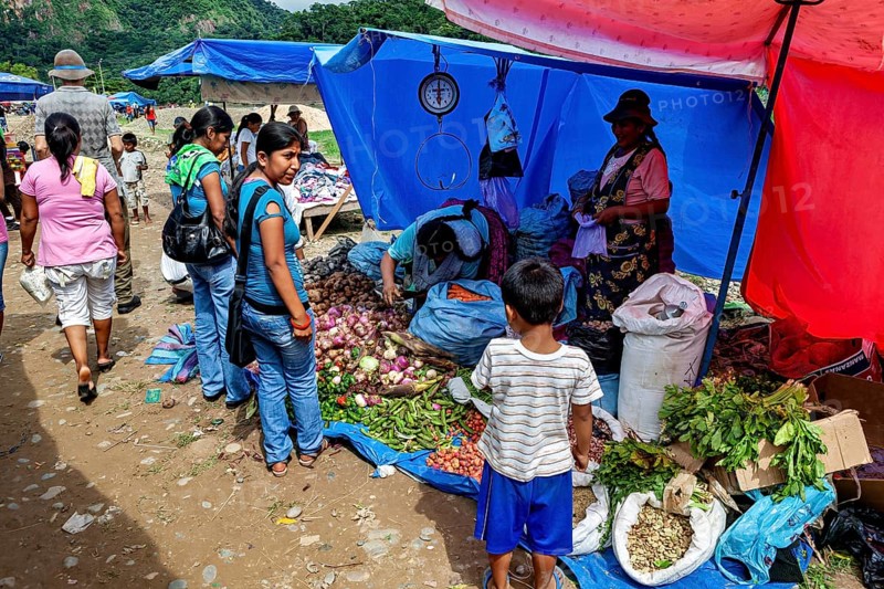 Market scene with people shopping at vegetable stands under colorful tents, The market of Rurrenabaque in the Amazon jungle rainforest in Bolivia