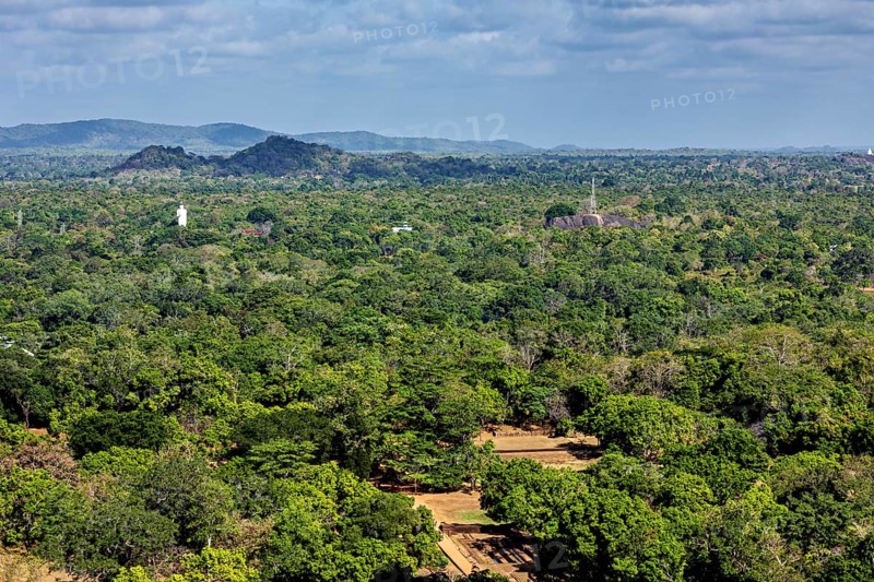 Dense green forests stretch to distant hills under blue skies, the landscape with views from Lion Rock near Sigiriya in Sri Lanka