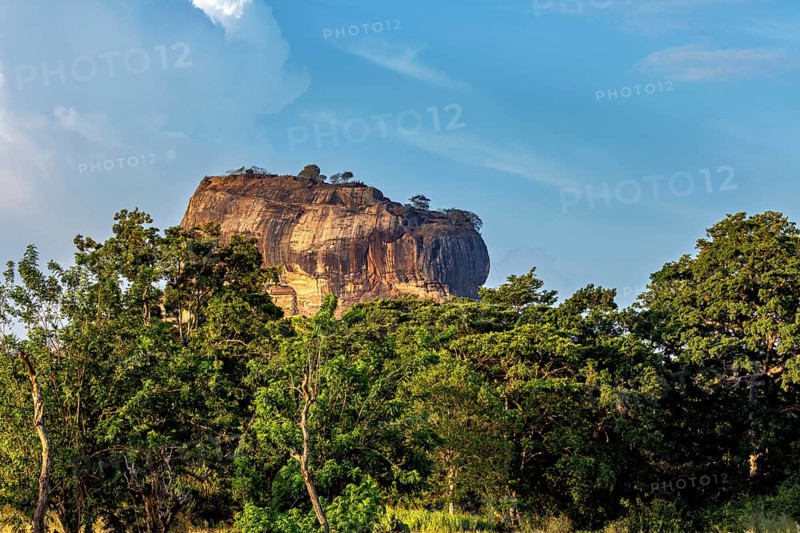 Large rock rises from a lush landscape with blue sky, The Lion Rock near Sigiriya in Sri Lanka