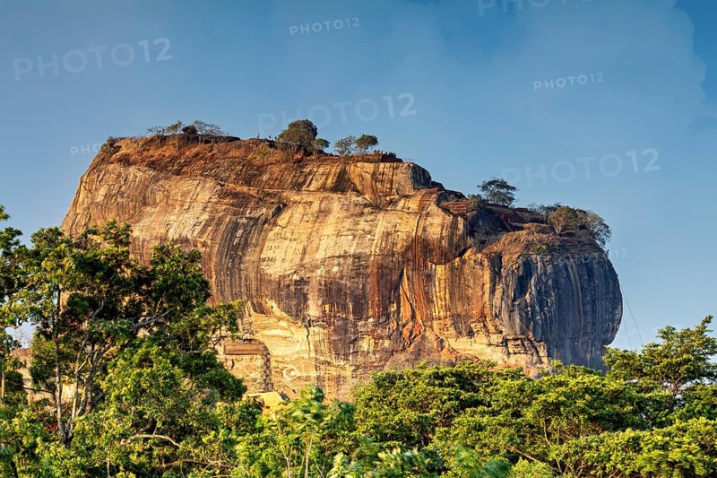 Close-up of an imposing rock with trees at the top under a clear sky, The Lion Rock near Sigiriya in Sri Lanka