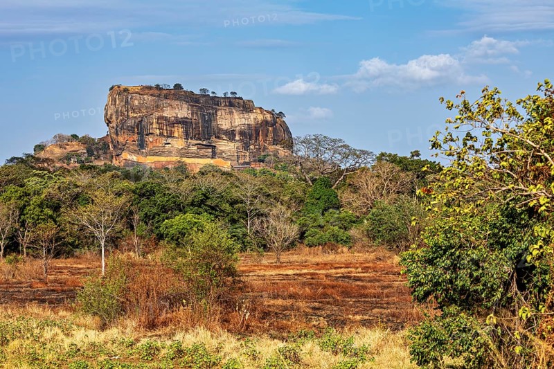 Field with a distinctive rock in the background under a slightly cloudy sky, The Lion Rock near Sigiriya in Sri Lanka
