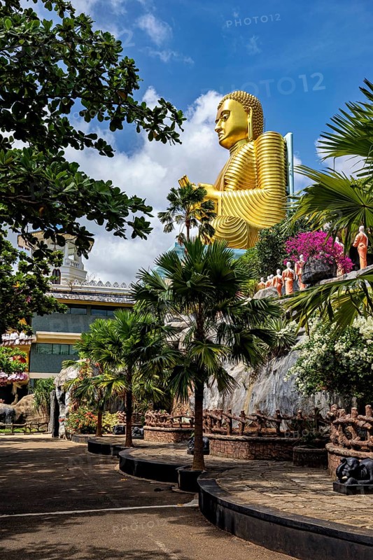 Large golden Buddha statue outdoors surrounded by trees and other sculptures under a blue sky, The cave temples of Dambulla in Sri Lanka