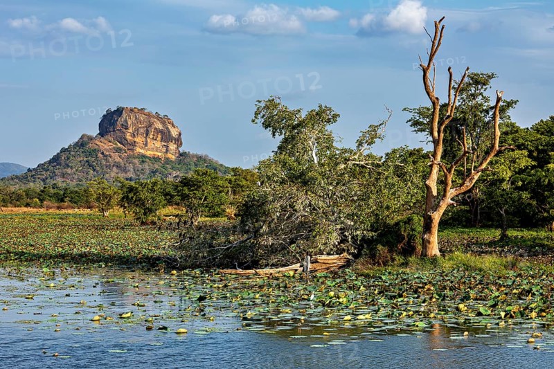 Rocks in the distance flanked by a body of water and trees under a blue sky, The Lion Rock near Sigiriya in Sri Lanka