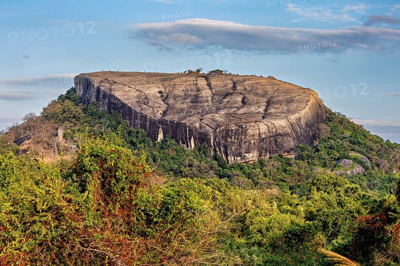 Large rock with green vegetation and cloudy sky in the background, The Pidurangala Rock near Sigiriya in Sri Lanka