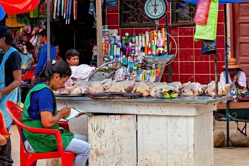 Woman sitting at a market stall with poultry and a scale in the background, The Rurrenabaque market in Bolivia