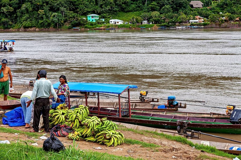 People pile bananas next to boats on the riverbank in green surroundings, longboat on a river near Rurrenabaque in the Amazon jungle in Bolivia
