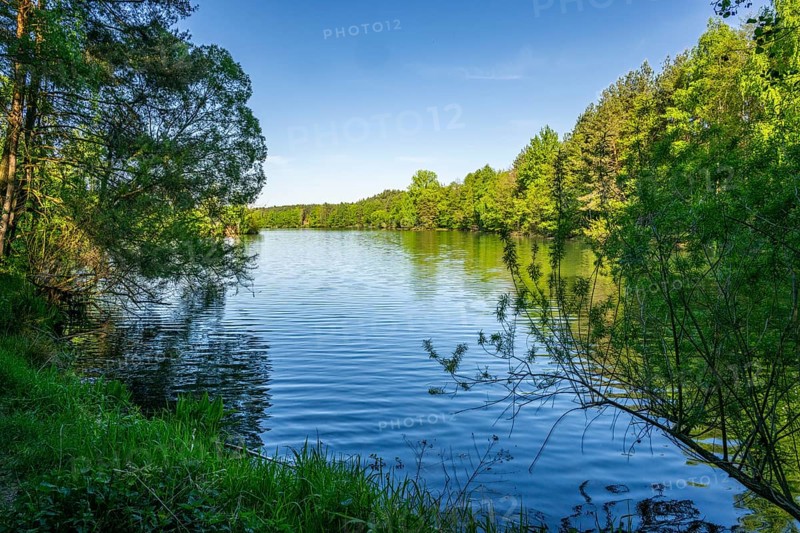 Landscape of a little lake on a sunny day in spring, Upper Palatinate, Bavaria, Germany