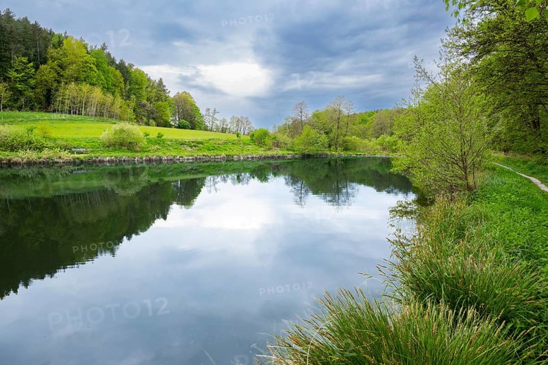 Landscape of a little lake on a cloudy day in spring, Upper Palatinate, Bavaria, Germany