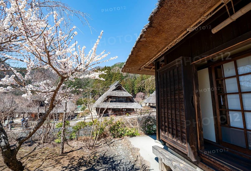 Iyashinosato open-air museum, old Japanese village with traditional houses, Fujikawaguchiko, Saiko, Japan