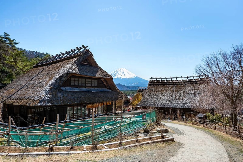 Iyashinosato open-air museum, old Japanese village with traditional houses, at the back volcano Mt. Fuji, Fujikawaguchiko, Saiko, Japón