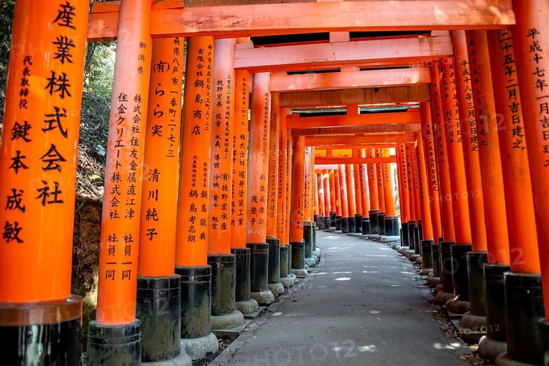 Walk through hundreds of red traditional torii gates, Fushimi Inari Taisha, Shinto Shrine, Fushimi Inari-taisha Okusha Hohaisho, Kyoto, Japan