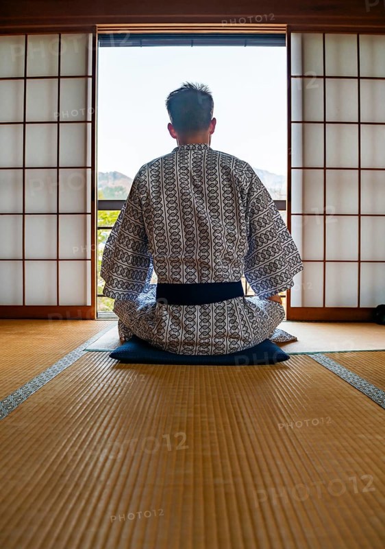 Young man wearing kimono sitting in traditional Japanese living room with tatami mats and shoji sliding doors, from behind, Yamanouchi, Nagano, Japan