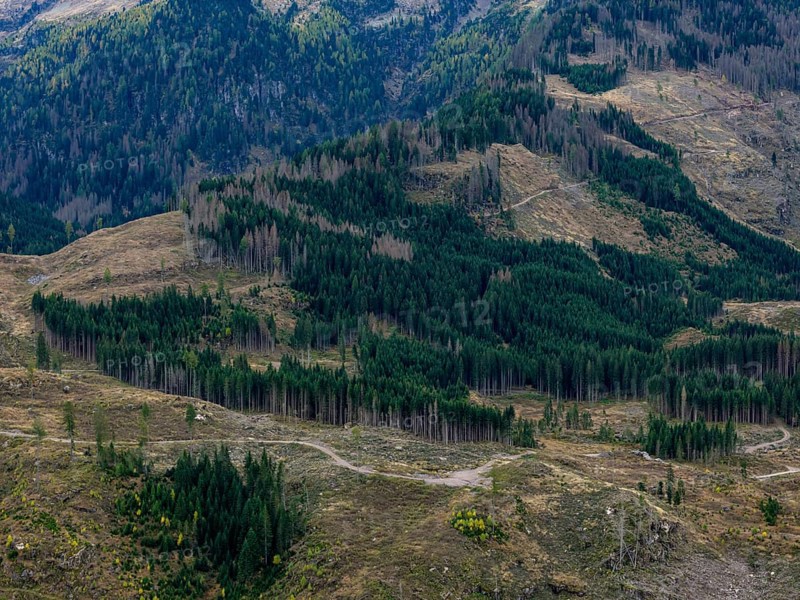 Logging, clearing, clearcut, timber industry, logging, mountain landscape, aerial view, autumn, cloudy, Paneveggio, Trentino, Dolomites
