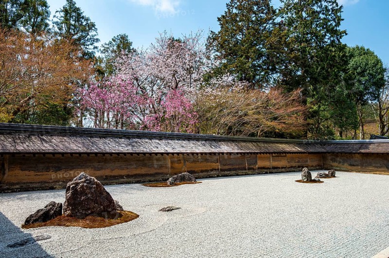 Kare-san-sui Japanese rock garden, Hojo Teien in Ryoan-ji, Zen Buddhist temple complex, in spring, Kyoto, Japan