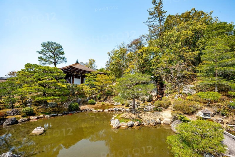 Japanese Garden with Pond, North Garden, Kitaniwa or Hokutei Garden, Ninna-ji Goths, Buddhist Temple Complex, Kyoto, Japan