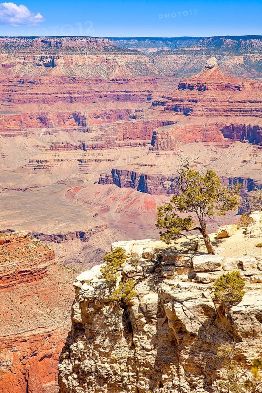 Beautiful landscape of the grand canyon, arizona