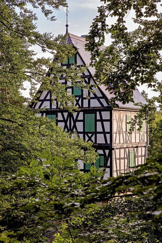 Half-timbered house hidden in thick trees, with distinctive black half-timbering and green shutters, quiet surroundings, The Herzogstuhl in the Saale Holzlandkreis district in Thuringia