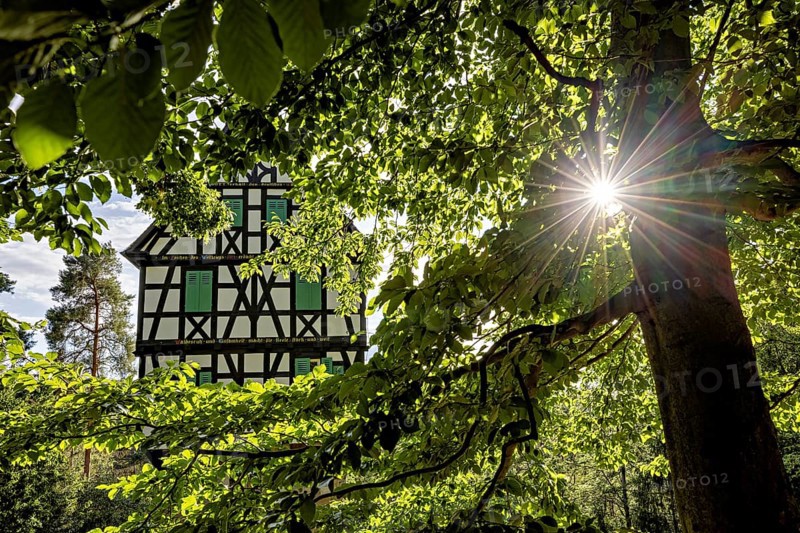 Half-timbered house surrounded by lush greenery and sunbeams falling through the canopy, quiet atmosphere, The Herzogstuhl in the Saale Holzlandkreis district in Thuringia
