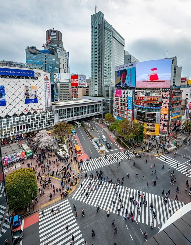 Modern houses with colorful neon signs and large road intersection, Shibuya Crossing from above, crowd at crossroads with crosswalks, Shibuya, Tokyo, Japan