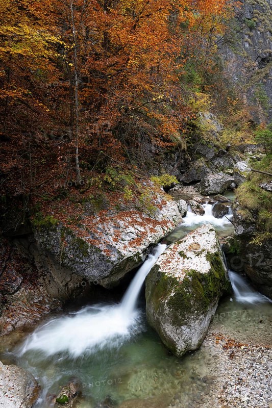 Stream in autumn in the Nothklamm, Gams, Palfau, Hieflau, Styria, Austria