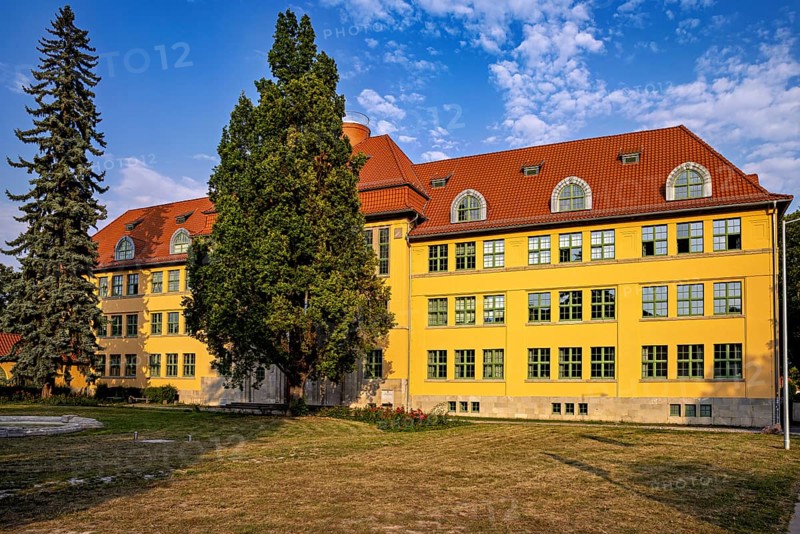 Yellow historic building with red roof, surrounded by trees and summer atmosphere, The old town of Arnstadt in Thuringia