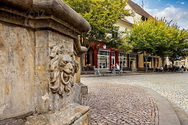 A lion relief in front of a tree-covered street in the old town, Löwenkopf am Brunnen in the old town of Arnstadt in Thuringia