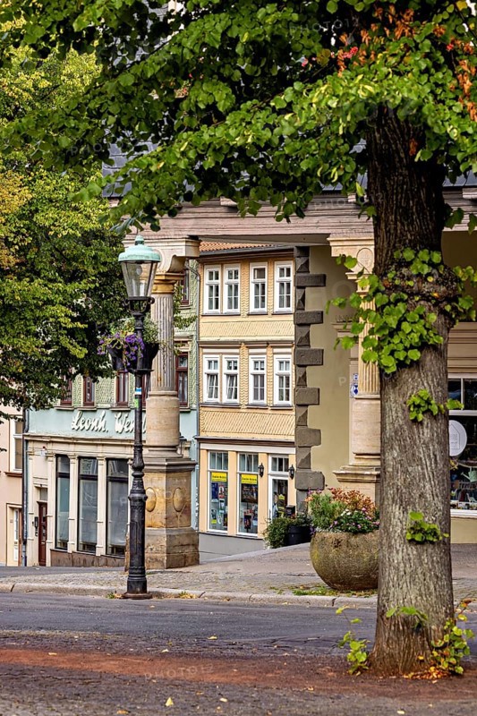Street with trees and historic buildings, summer atmosphere in the old town, The old town of Arnstadt in Thuringia
