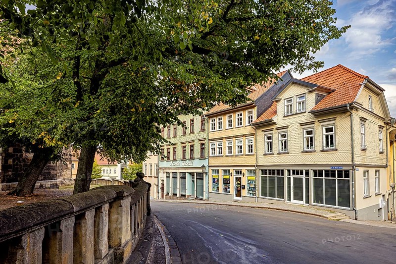 Street in the old town with trees and historic buildings on a sunny day, The old town of Arnstadt in Thuringia