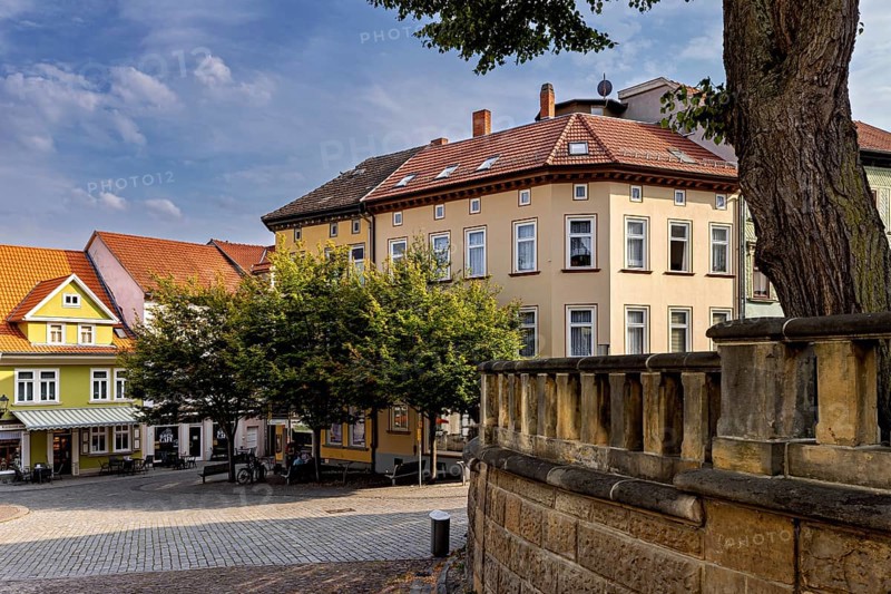 Historic buildings surround a square with colorful facades and a tree under a blue sky, the old town of Arnstadt in Thuringia