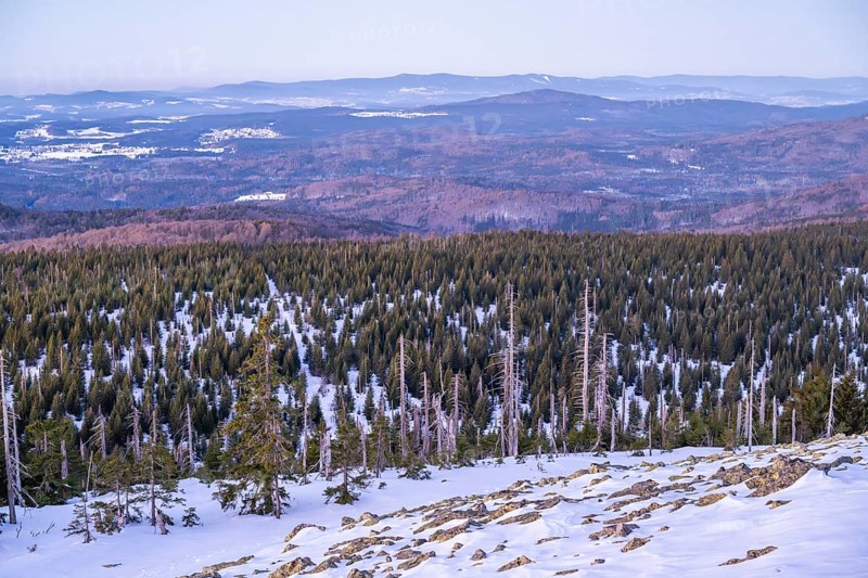View from Mount Lusen over the hills of the bavarian forest at sunrise in winter, Bavaria, Germany