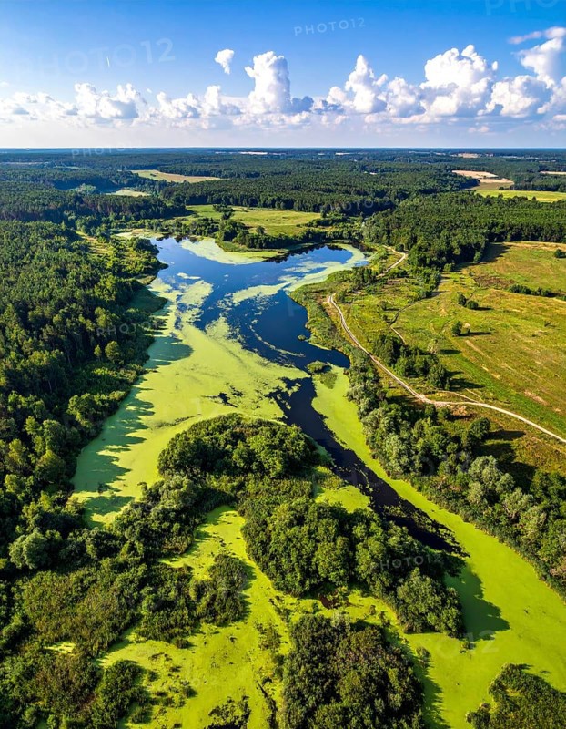 Green algae on the lake. Aerial view of nature, landscape with hills and forest in summer, cloudy sky, golden light at sunset, AI generated