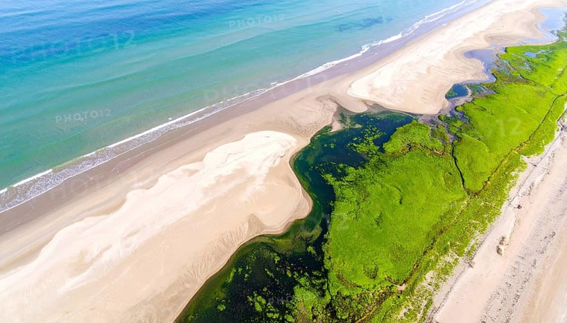 Green algae on the sandy shore of an ocean. Fascinating phenomenon of wild coastline with green plants, white sands, stone, blue water and cliffs, Aerial view of a beautiful abstract unreal and textured landscape, AI generated