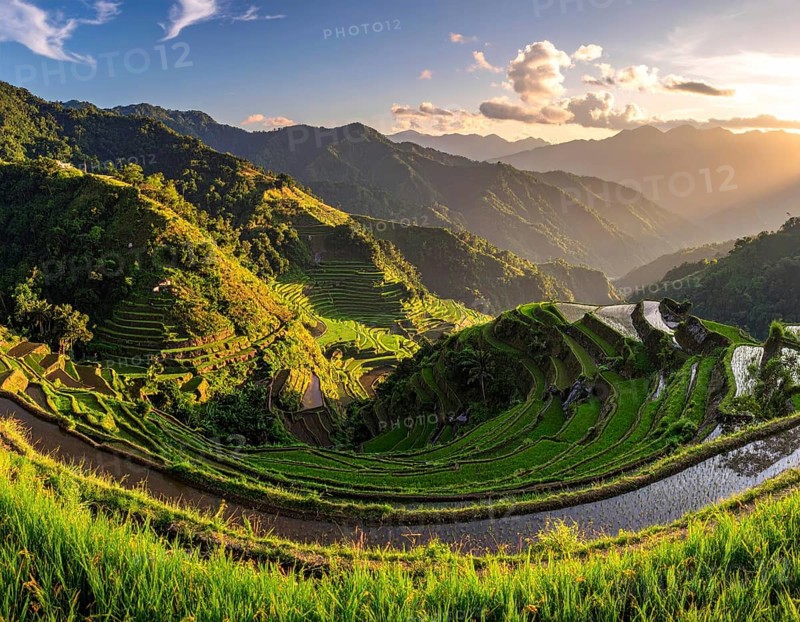 Early morning light bathes Philippines rice terraces cascading down mountain slopes, beautiful golden light, AI generated