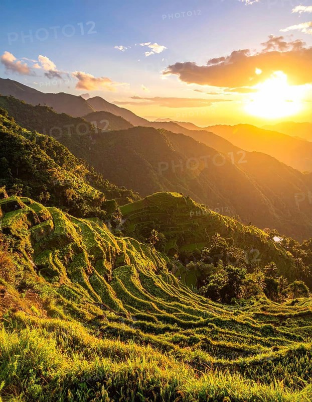 Early morning light bathes Philippines rice terraces cascading down mountain slopes, beautiful golden light, AI generated