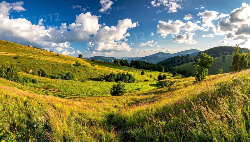 Fresh summer hilly Landscape with blooming Meadow, green plants, Blue Sky with cloudy sky, serene nature background, AI generated